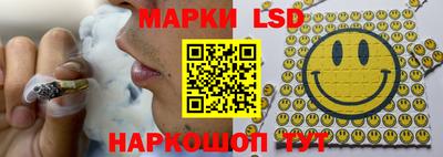 твердый Гатчина