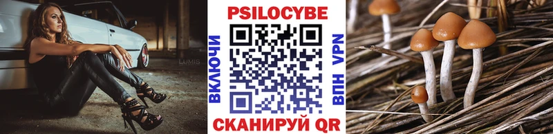 Псилоцибиновые грибы мицелий  МЕГА ССЫЛКА  дарк нет наркотические препараты  Грозный 
