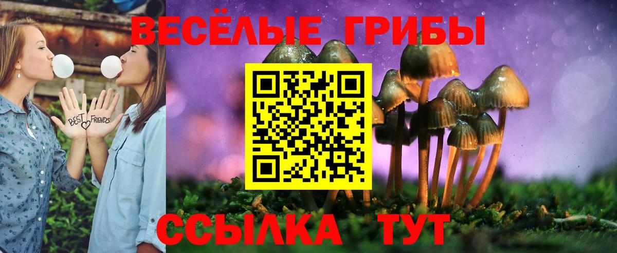 Галлюциногенные грибы ЛСД  Псилоцибиновые грибы Magic Shrooms  Грозный  Вход с VPN 