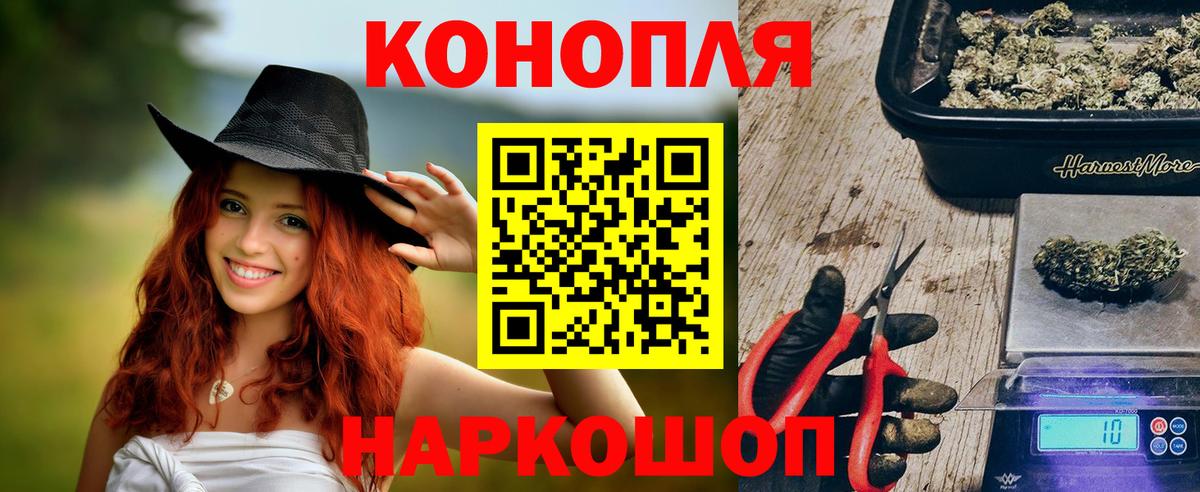 Бошки Шишки Amnesia  Бошки марихуана SATIVA & INDICA  Марихуана сатива  Бошки марихуана Ganja  Вход с VPN  Грозный 